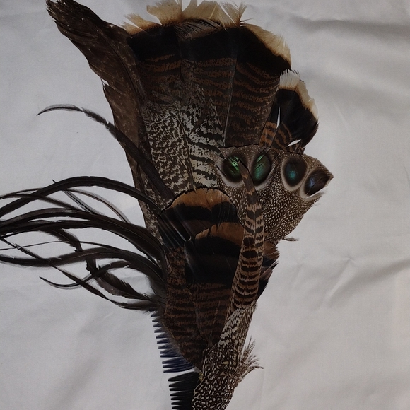 Unique hair accessories. From exotic pheasants